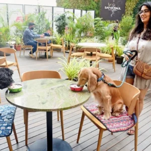 pet friendly cafe outdoor